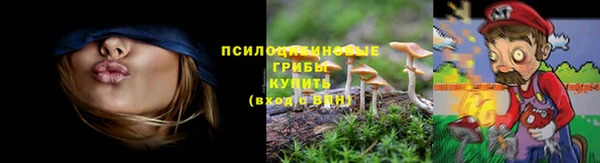 МДМА Алексеевка
